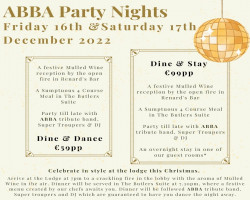 ABBA PARTY NIGHT